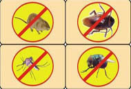 ɽ������(l��)��������(ji��n)��